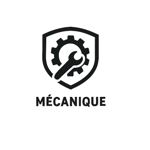 Carter huile peugeot 208 (Copie)